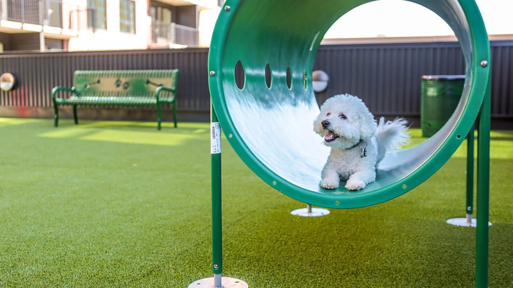 A small white dog is sliding down a green slide.