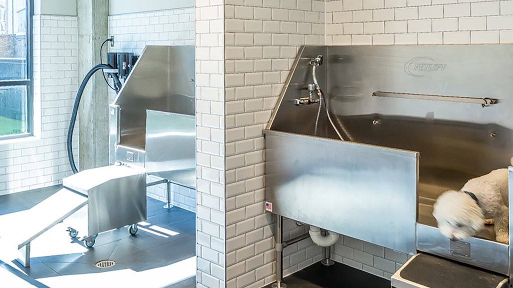 A dog is getting washed in a large metal tub.