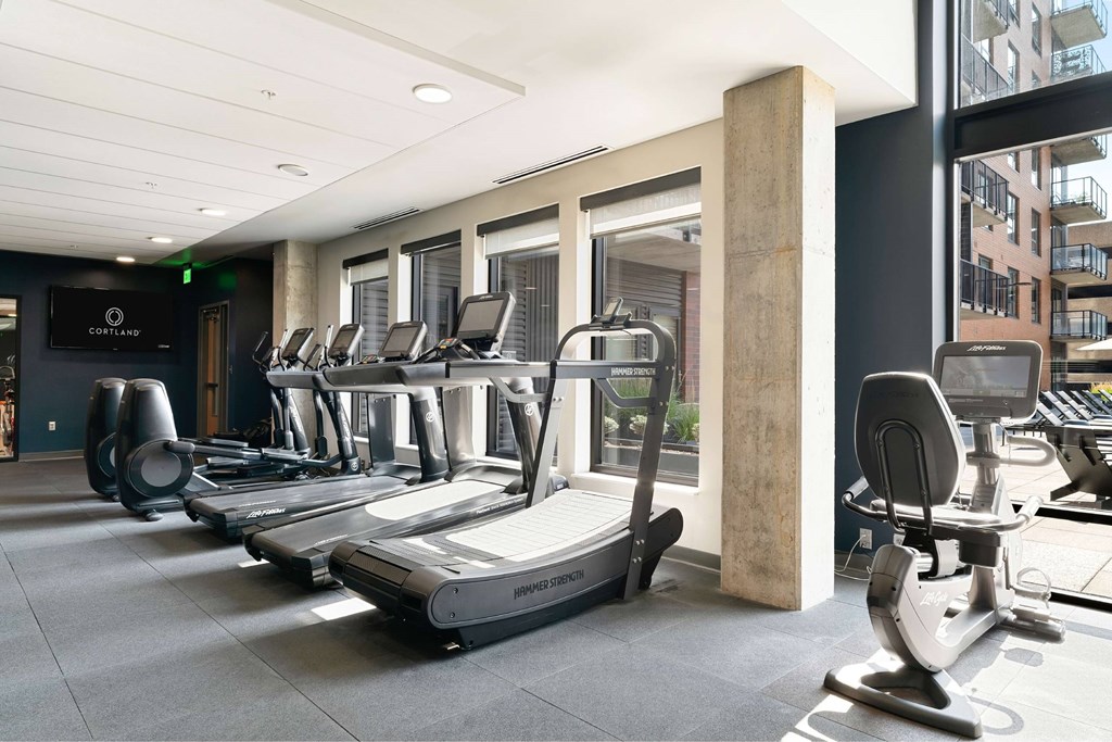 A gym with treadmills and exercise bikes.