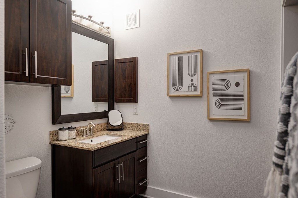 Modern bathroom at The Reserve at Arboretum Apartment Homes with dark wood cabinets, granite countertop, and a large mirror. Minimalist abstract artwork on white walls adds a contemporary touch.