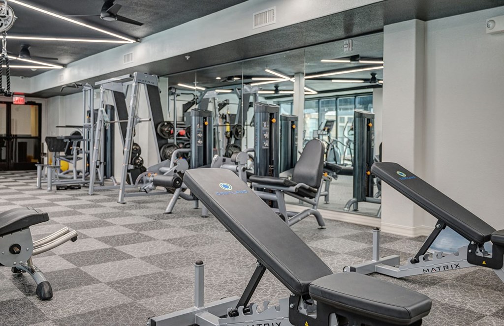 Modern gym interior at The Reserve at Arboretum Apartment Homes with mirrored walls, featuring workout machines, benches, and weights on a patterned carpet. Bright, organized, and spacious atmosphere.