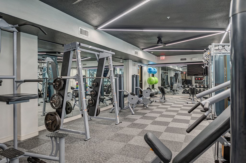 Modern gym interior at The Reserve at Arboretum Apartment Homes with various weightlifting and cardio equipment, mirrored walls, geometric ceiling lights, and a calm, organized atmosphere.