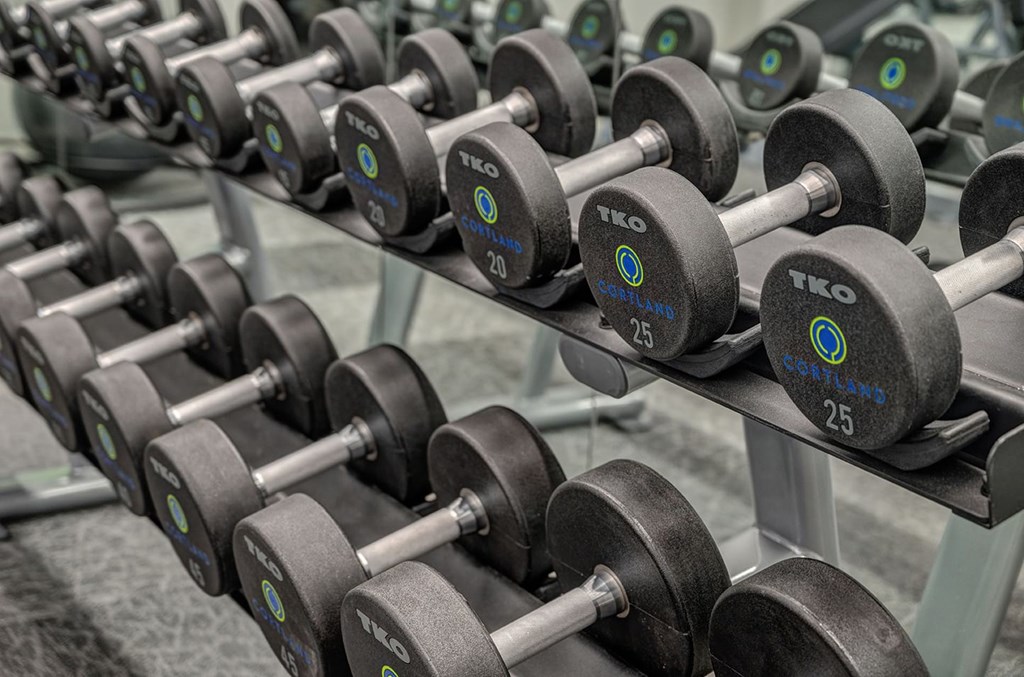 Rows of black dumbbells on a rack in a gym here at The Reserve at Arboretum Apartment Homes, reflected in mirrors. Weights vary from 20 to 25 pounds, conveying a sense of fitness and strength.