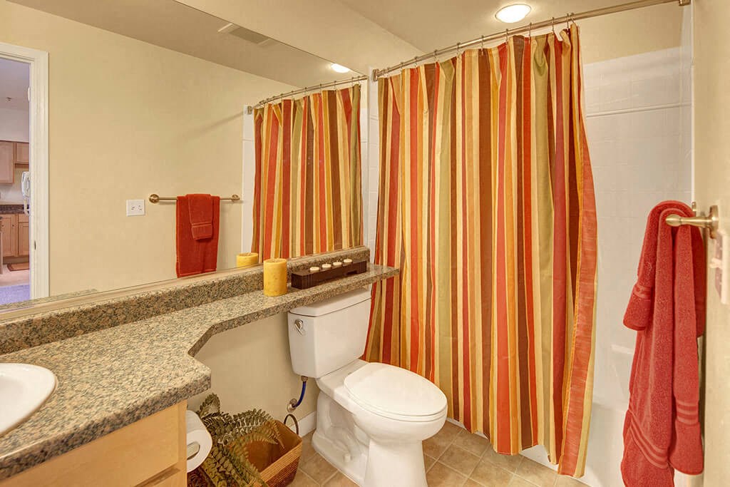 Park Plaza II Apartments - Bathroom