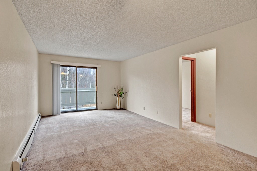 Park Plaza Apartments - Living Room