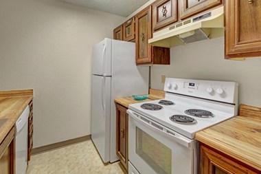 201 East 16Th Ave Studio-2 Beds Apartment for Rent Photo Gallery 1