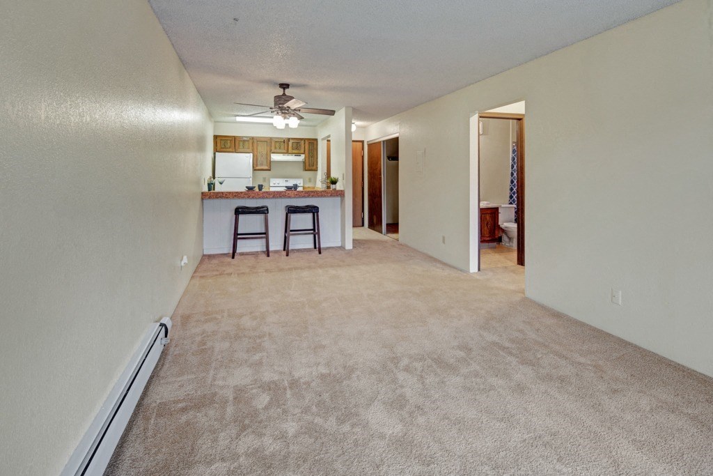 Park Plaza Apartments - Living Room