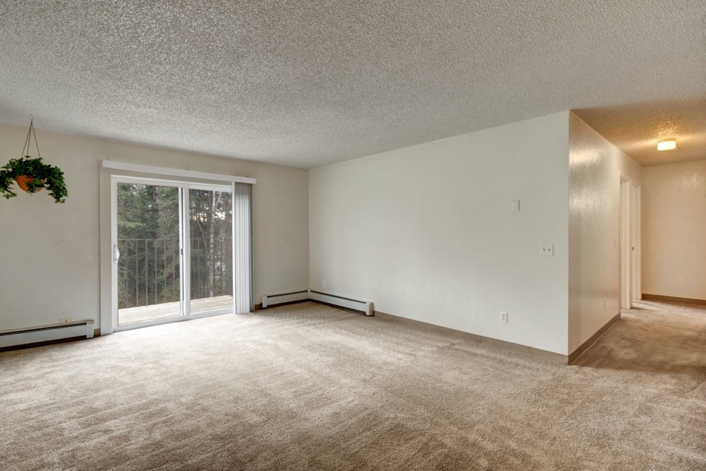 Spacious empty living room here at Quiet Creek Apartments with beige carpet and white walls. A large sliding glass door opens to a balcony with trees visible outside. A potted plant hangs near the door.