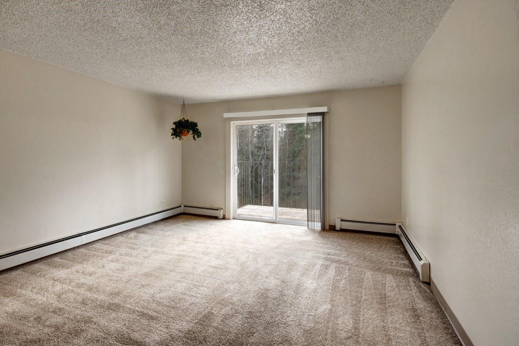 Empty living room here at Quiet Creek Apartments with beige walls and carpet, featuring a sliding glass door leading to a balcony. A hanging plant adds a touch of nature.