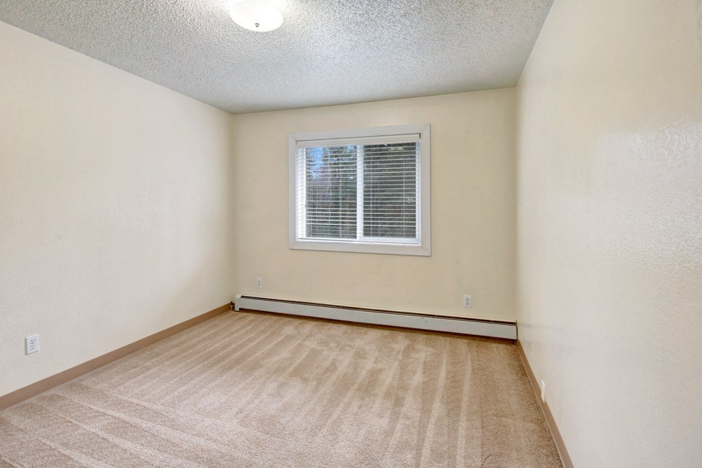 An empty bedroom here at Quiet Creek Apartments with beige carpet and cream walls, featuring a single window with white blinds. The setting is bright and minimal, conveying simplicity.