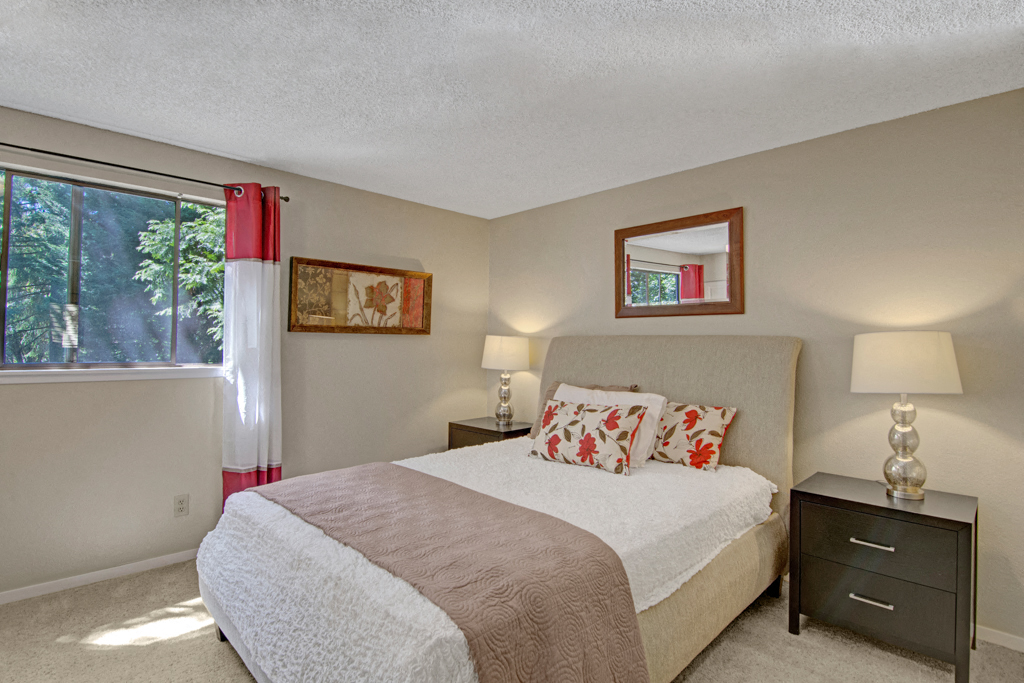 The Ridge And The Shores