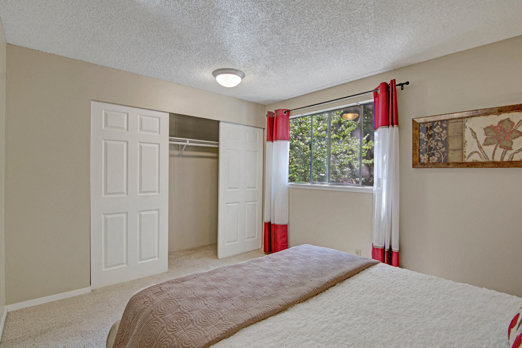 The Ridge And The Shores