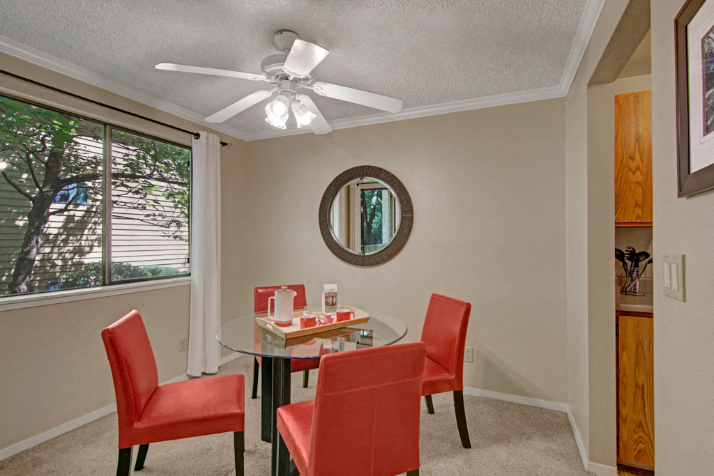 The Ridge And The Shores