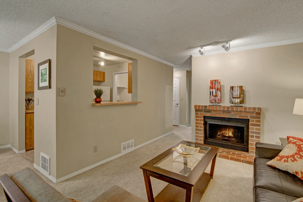 The Ridge And The Shores