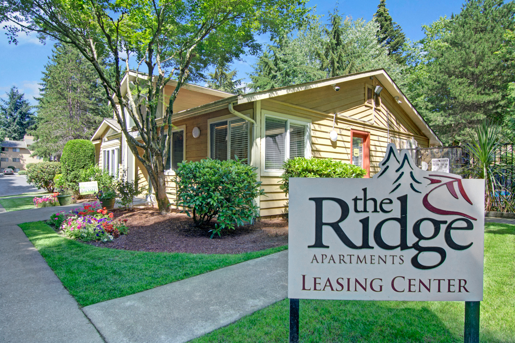 The Ridge And The Shores