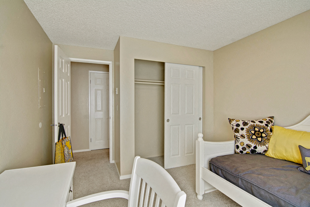 The Ridge And The Shores