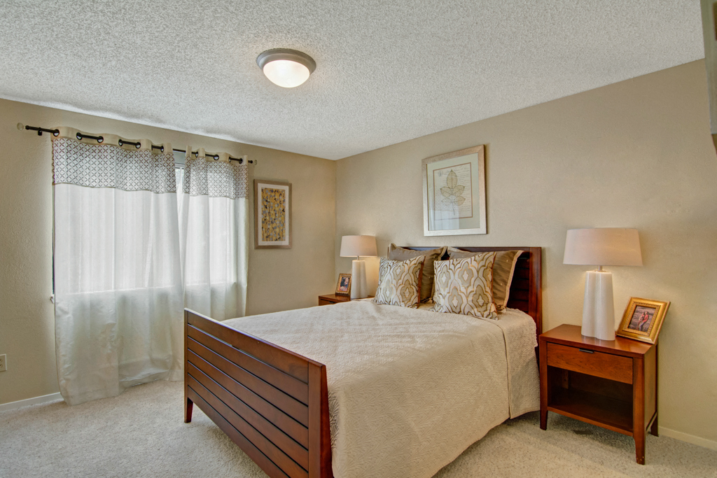 The Ridge And The Shores