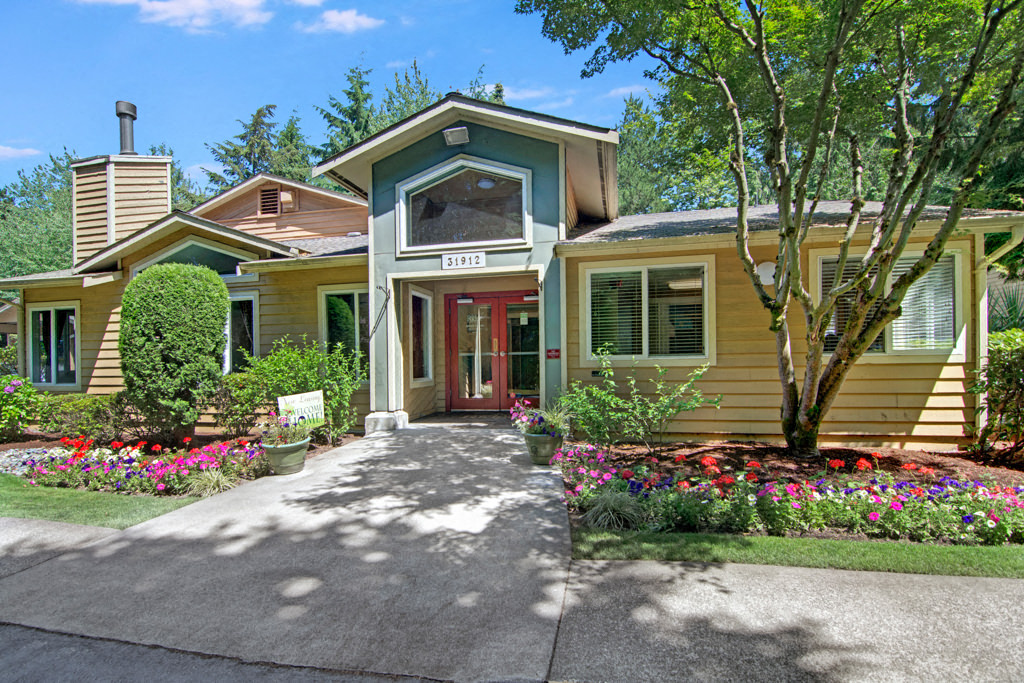 The Ridge And The Shores