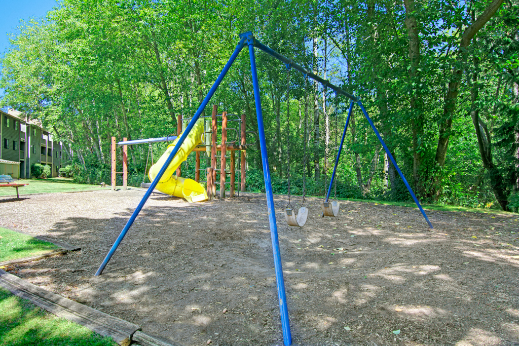 The Ridge And The Shores