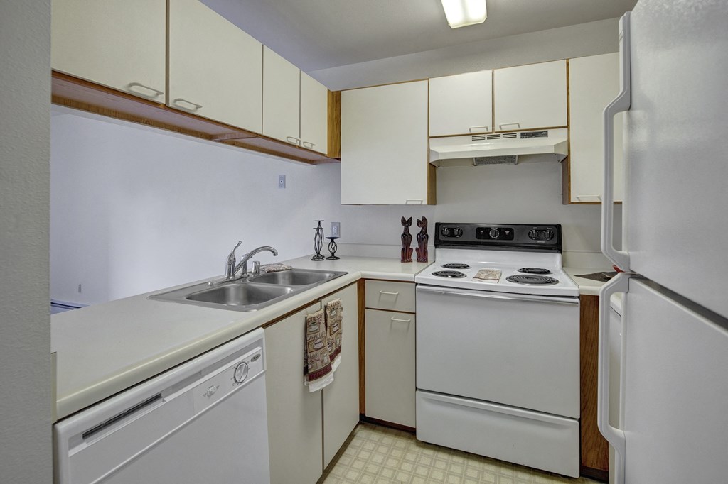 Small kitchen here at Silver Ridge Apartments with white cabinets, electric stove, double sink, and dishwasher. The countertop has decorative cat figurines and candles. Bright lighting.