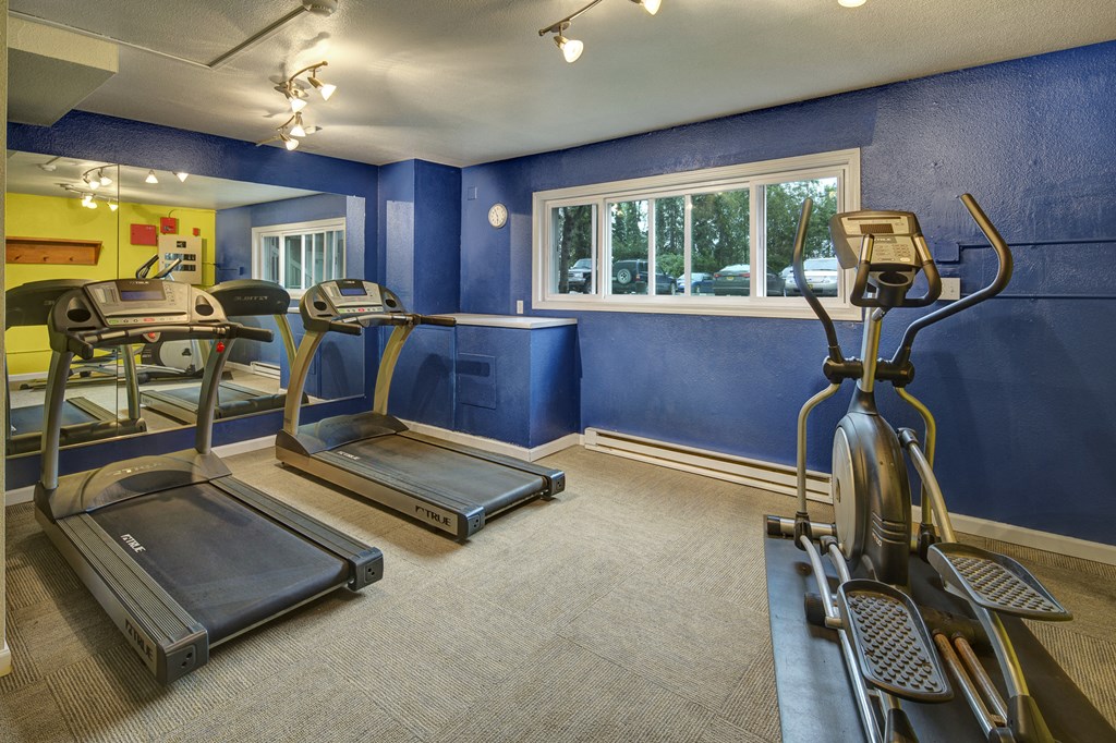 Small gym here at Terrace on the Lake Apartments with bright blue walls, featuring two treadmills and an elliptical machine. A large mirror and window provide natural light. Clean and inviting atmosphere.