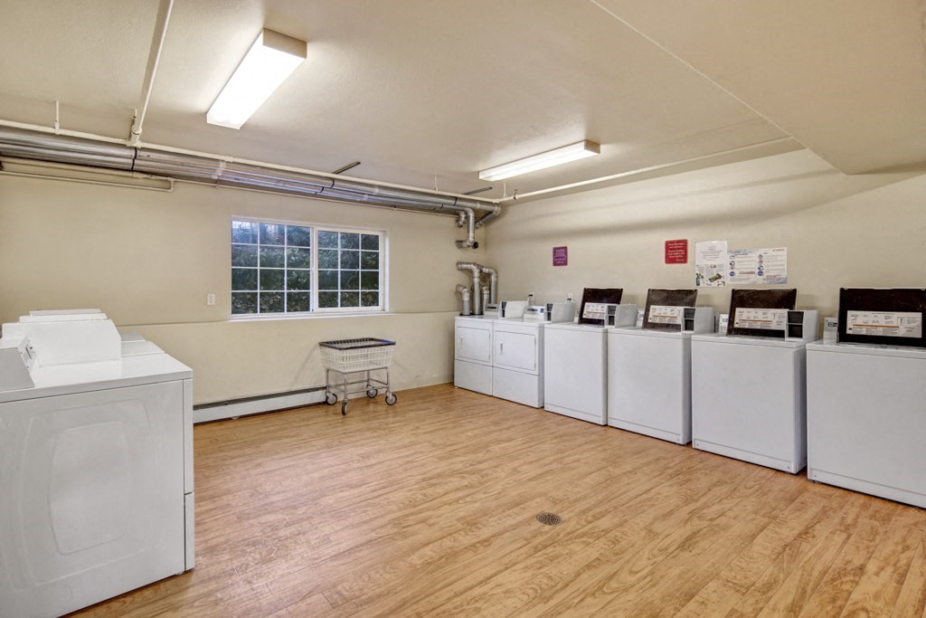 Timber Ridge Apartments - Laundry Room