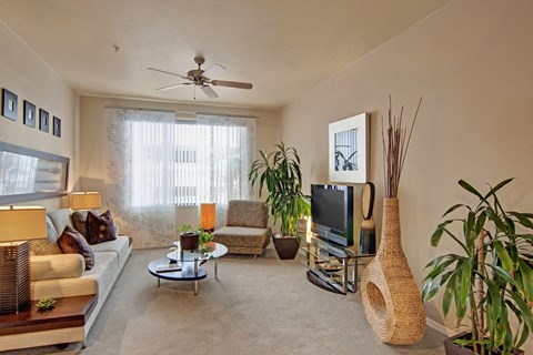 A living room with a couch, a coffee table, and a television.
