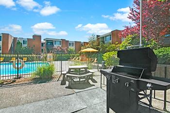Barbecue/Grill Area