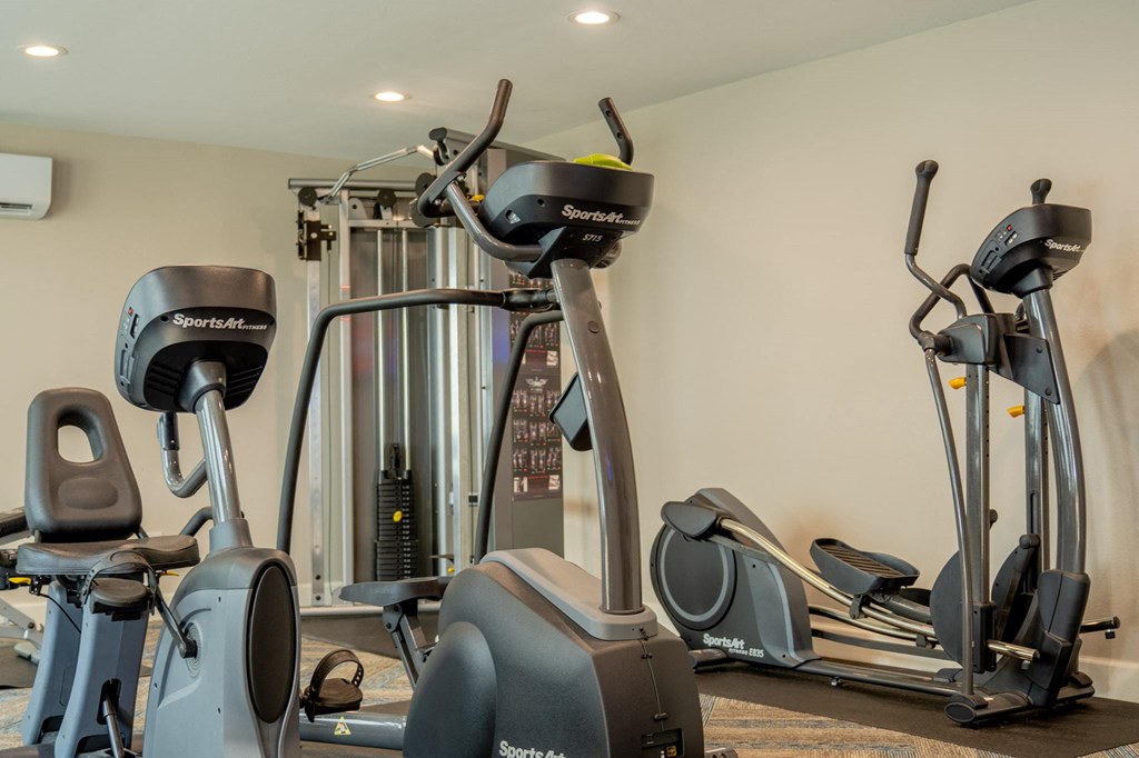 a gym with treadmills and other exercise equipment