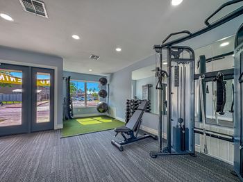 A gym with a variety of equipment including a squat rack and a bench.