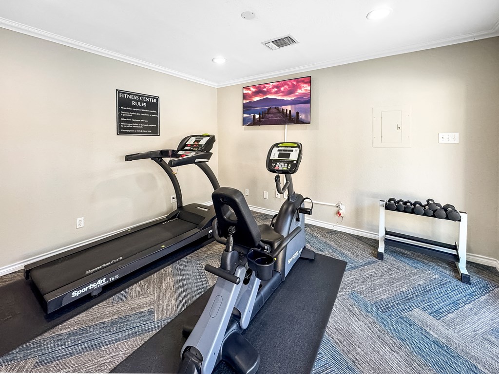 A gym with treadmills, weights and a TV.