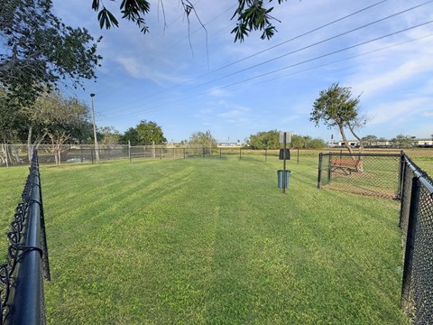 Spacious green lawn area at Los Cedros Apartments