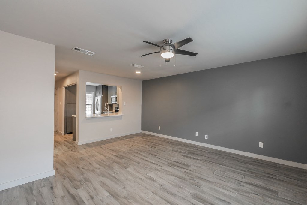 Designer accent wall