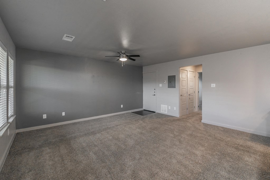 Designer accent wall