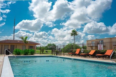 Outdoor swimming pool with lounge chairs and palm trees at Los Cedros Apartments