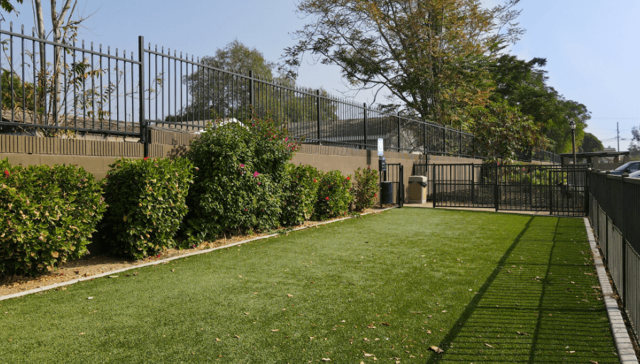 A fenced yard with green grass and bushes at Raintree Apartments, CA 92346