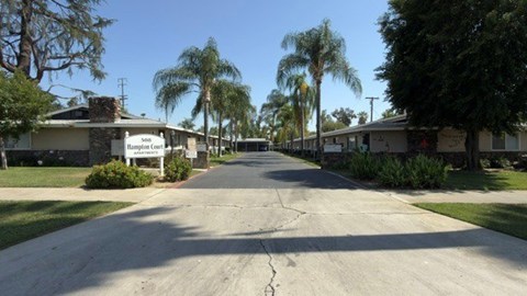 A street view of a residential area with houses and palm trees.