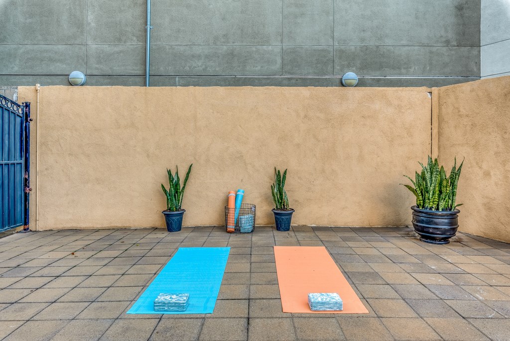 a pair of blue and orange yoga mats sit on a tile floor next to potted plants