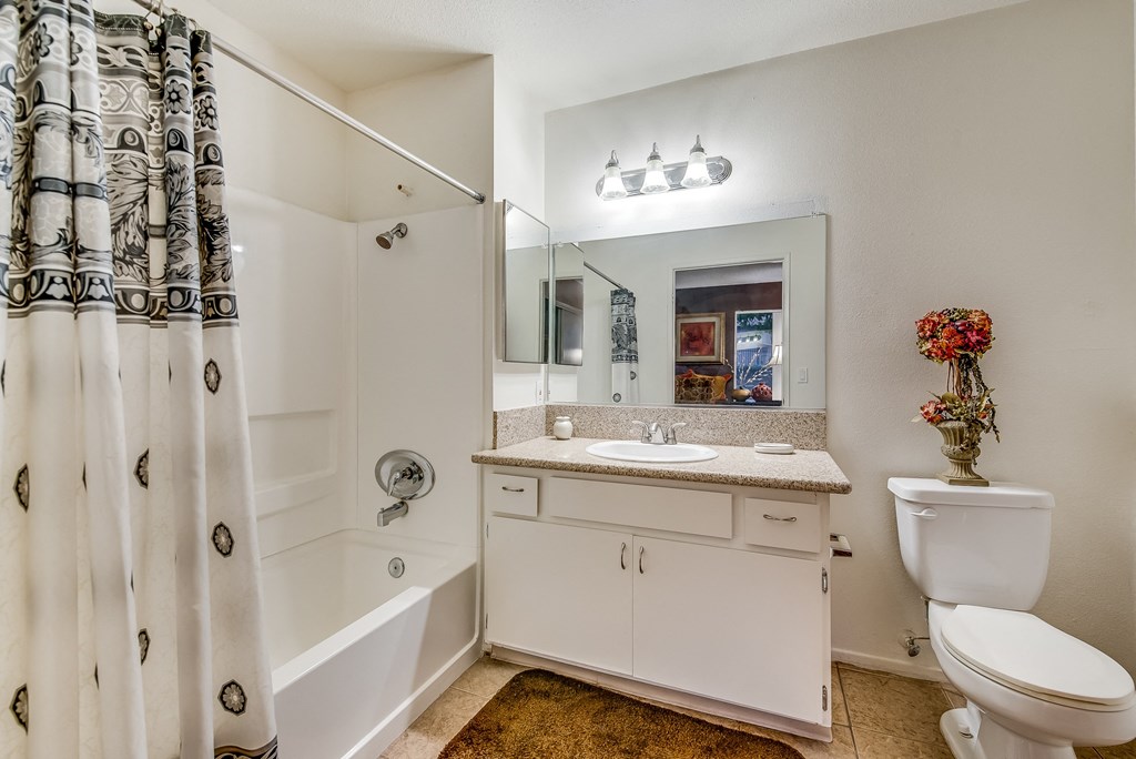 a bathroom with a shower toilet and sink