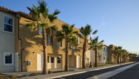 A row of houses with palm trees in front.