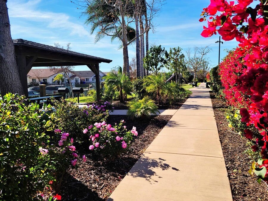 a sidewalk with flowers on the side of it