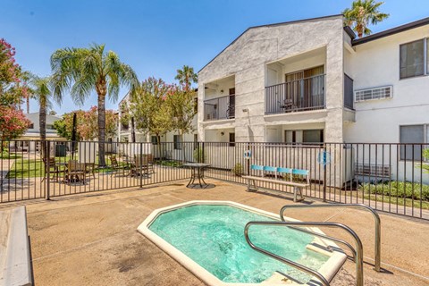 our apartments have a resort style pool and a building with palm trees
