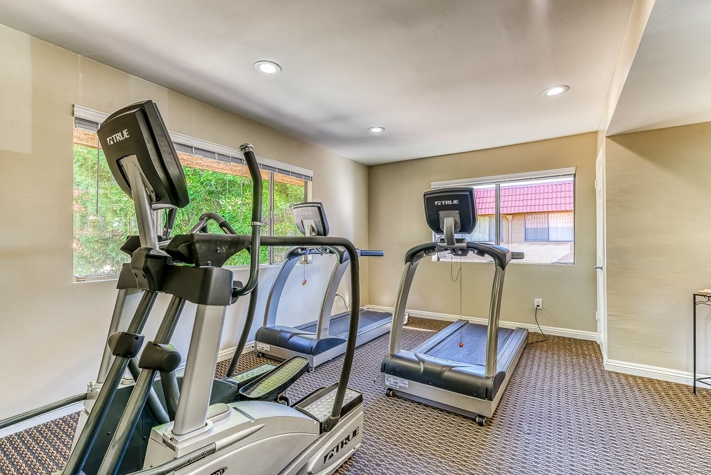 A home gym with treadmills and elliptical machines.