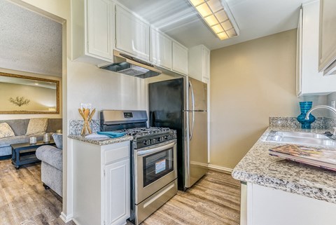 a kitchen with a stove and refrigerator and a sink