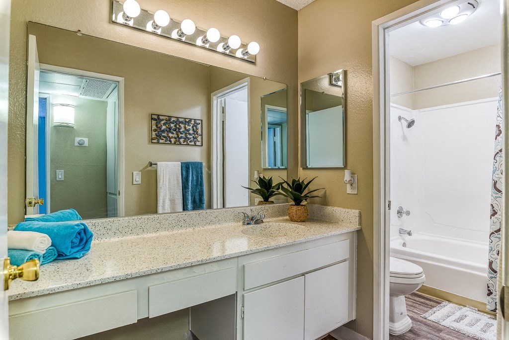 A bathroom with a vanity, mirror, and a plant.