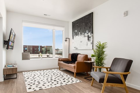 A living room with a brown chair and a black and white rug.