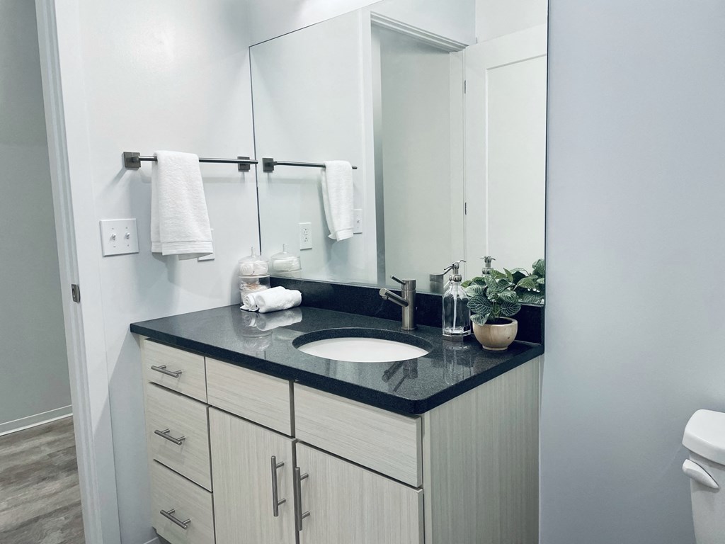 Helm On The Allegheny