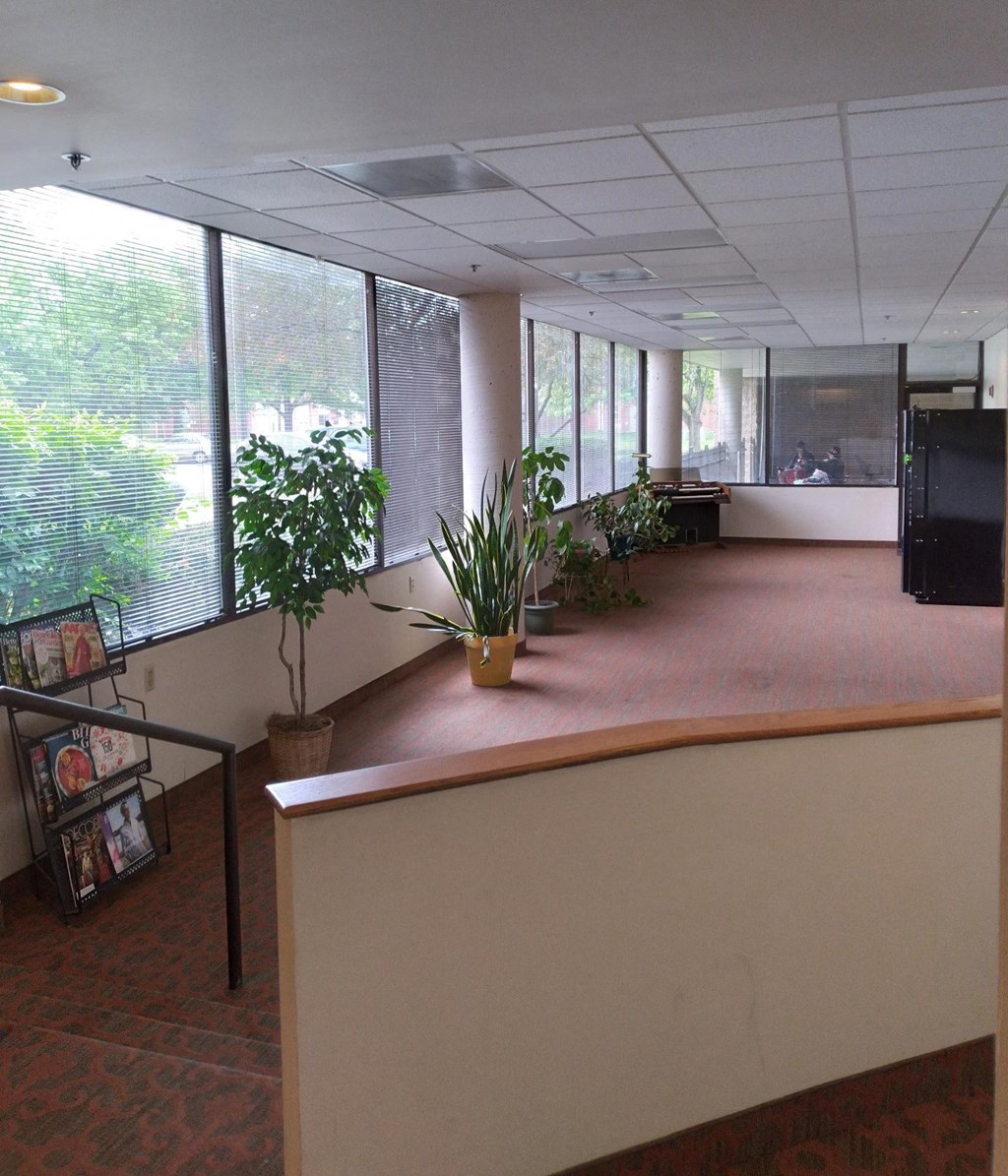an open plan office with large windows and potted plants