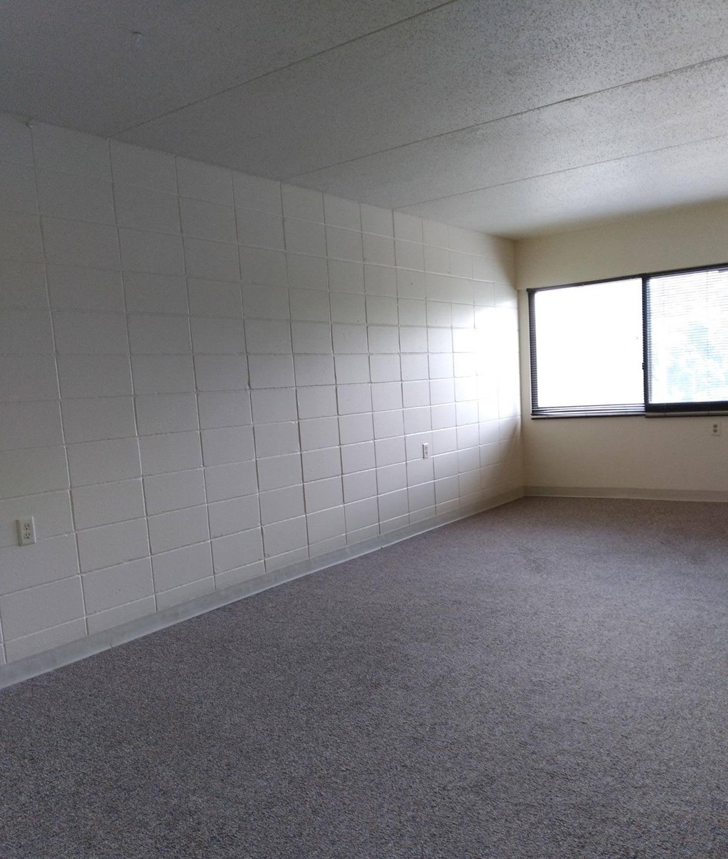an empty room with a window and a carpeted floor