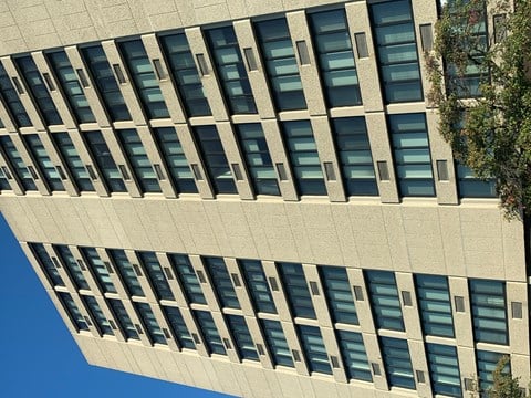 A tall building with many windows and a tree on the right side.